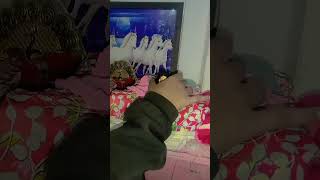 Laddu gopal singar video❤️🥰😘 [upl. by Papageno397]