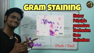 Gram Staining  Microbiology  Principle  Procedure  Tamil  Uses  Limitation ThiNK Biology TNK [upl. by Natalia3]