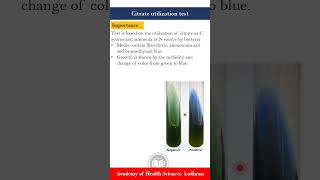 Citrate utilization test Biochemical tests  Microbiology  by ImranY aseen [upl. by Nahij]