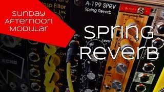 Doepfer A199 Spring Reverb with Accutronics Spring Tanks [upl. by Acceber]