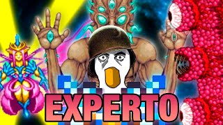 TERRARIA MODO EXPERTO EXPERIENCIA COMPLETA [upl. by Anstus121]