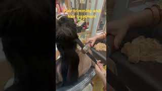 Hair treatment and hair trimming full processing ke sath Kiya Gaya machine dwara trimming [upl. by Omar574]