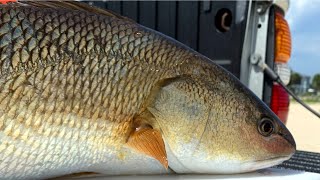 Rattlesnake Island Marsh  Matanzas Inlet Saint Augustine Florida  Saltwater Kayak Fishing [upl. by Riker]