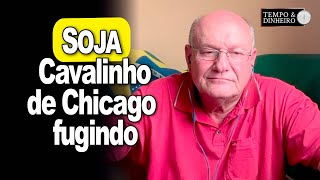 Soja vendo Cavalinho de Chicago fugindo analisa Vlamir Brandalizze [upl. by Domella716]