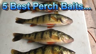 Perch Fishing Tips  The Only 5 Perch Baits That Matter [upl. by Zashin260]