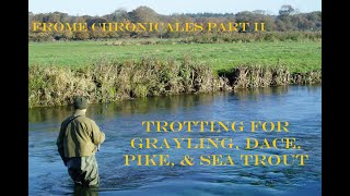 Frome Chronicles Part II  Trotting for Grayling Dace Pike and Sea Trout [upl. by Eikciv]