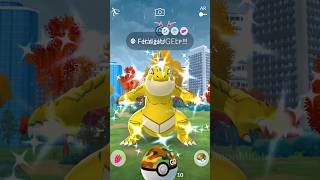 When I Got HUGE ✨ Shiny MONSTER with Safari Ball in Pokemon GO [upl. by Akiraa]