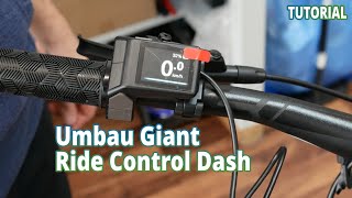 Umbau Giant RideControl Dash 2in1  TUTORIAL Elektrofahrrad24de [upl. by Evita]