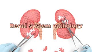 Renal system pathology 3rd lecture [upl. by Catlaina]