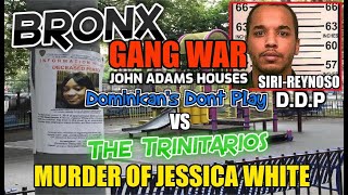 Bronx Gang War  DDP Dominicans Dont Play Vs The Trinitarios  John Adams Houses  Story Of Siri [upl. by Jody]