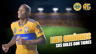 LOS 26 GOLES OIFICIALES DE LUIS QUIÑONES CON TIGRES  20162024 [upl. by Ecinnej688]