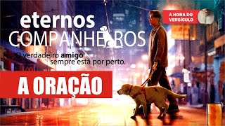 Little Q 2019 Faça a incrível oração do Filme ETERNOS COMPANHEIROS 2019 e seja abençoado [upl. by Aay]