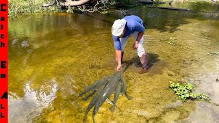 FISH are DYING and TRAPPED in COW PUDDLES  Help from Troy Landry Bruce n Aaron on Swamp People [upl. by Peta]