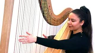 Hasselmans  Feuilles DAutomne Serenade Mélancolique Op45  Harp Zita Silva [upl. by Ocire]