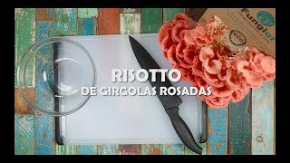 Fungiar  Risotto de GÃ­rgolas Rosadas [upl. by Attelocin]