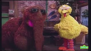 সিসিমপুর Sesame Street  Best Friends Bengali [upl. by Leihcar608]