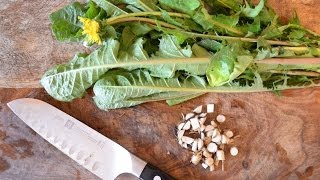 How to harvest prepare and use dandelion leaf and root for beauty and health [upl. by Bjork]