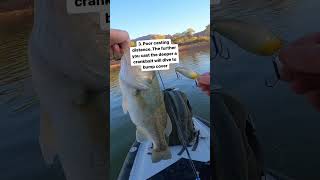 3 Mistakes Your Making Fishing Crankbaits bassfishing [upl. by Hanover587]