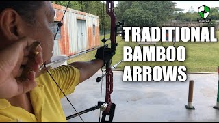 Traditional Bamboo Arrows  Shooting with a Compound Bow [upl. by Verada]