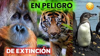 ¡Animales en Peligro de Extinción El Último te sorprederá [upl. by Chevalier]