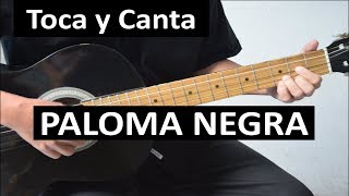 Como tocar PALOMA NEGRA de Vicente Fernández [upl. by Harima]