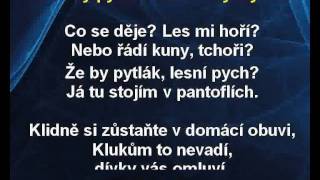 Z pohádek  Hajný je lesa pán karaoke z wwwkaraokezabavacz [upl. by Suivatra47]