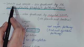 Biosynthesis of Cytokinin Plant Physiology [upl. by Pierson]