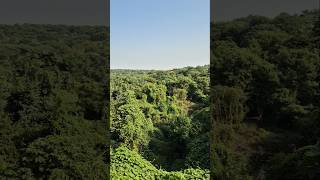 Nature view viralvideo nature travel safar mountain [upl. by Kjersti716]