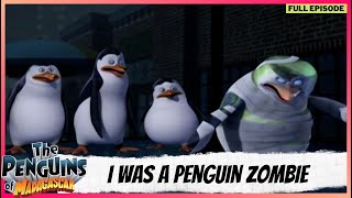 The Penguins of Madagascar  Full Episode  I Was a Penguin Zombie [upl. by Neenahs316]