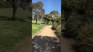 Eastwood Walking Track Ride 1 [upl. by Vaas]