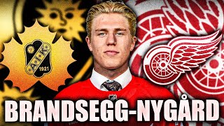 BIG DETROIT RED WINGS PROSPECT UPDATE MICHAEL BRANDSEGGNYGÅRD NEWS [upl. by Eeniffar]