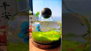 Grow AQUARIUM Plants for FISH using Hydroponic method Like a Pro [upl. by Yarahs]