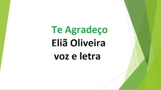 Te Agradeço  Eliã Oliveira  voz e letra [upl. by Aneloaup]