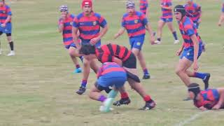 Hato Paora Rugby U15 v Te Aute College U15 2024 [upl. by Initirb]