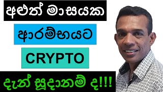 අළුත් මාසයක ආරම්භයට CRYPTO දැන් සූදානම් ද  BITCOIN [upl. by Drahser]