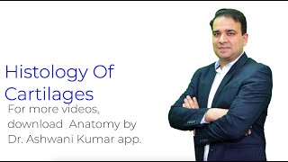 Cartilage  Muscularskeletal system physiology  NCLEXRN  Khan Academy [upl. by Stelu]