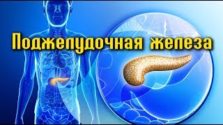 10 ПРОДУКТОВ для здоровья ПОДЖЕЛУДОЧНОЙ ЖЕЛЕЗЫ [upl. by Derraj]