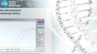 Metoda PCR w czasie rzeczywistym  istota metody optymalizacja reakcji [upl. by Brigitte693]