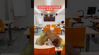 Schlafen in der Schule😴😂 shorts schule comedy funny lustig humor comedyjess shortsvideo pov [upl. by Ulysses]