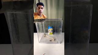 Salt vs Bond experiment scienceexperiment science diy [upl. by Longerich700]