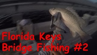 Key West Bridge Fishing  Episode 2  Movin On Up The Keys [upl. by Galatea]