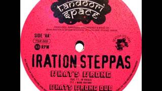 Iration Steppas feat YT  Whats Wrong  Dub [upl. by Raynard]