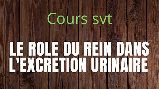 CoursCompletLE RÔLE DU REIN DANS L’EXCRÉTION URINAIRE ET LA RÉGULATION DU MILIEU INTÉRIEUR [upl. by Ratha]