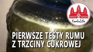 Pierwsze testy rumu z trzciny cukrowej [upl. by Anikes]