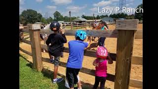 Asheville Day Trip  Horseback Riding  Lazy P Ranch  North Carolina [upl. by Oiramat317]