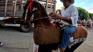 cabalgata 2024 Octubre [upl. by Nogras409]