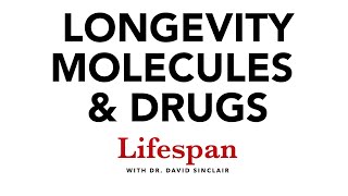 NMN NR Resveratrol Metformin amp Other Longevity Molecules  Lifespan with Dr David Sinclair 4 [upl. by Celio]