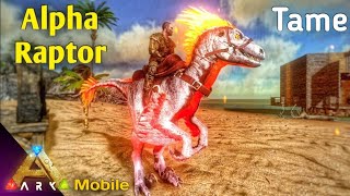 How to Tame an Alpha Raptor in Ark Mobile Revamp  Ultimate Taming Guide AndroidiOS [upl. by Refiffej851]