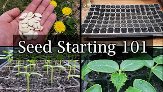 How To Start Vegetable Seeds  The Definitive Guide For Beginners [upl. by Omsare]