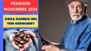 PENSIONI NOVEMBRE 2024 COSA CAMBIA NEL TUO CEDOLINO [upl. by Oirom]